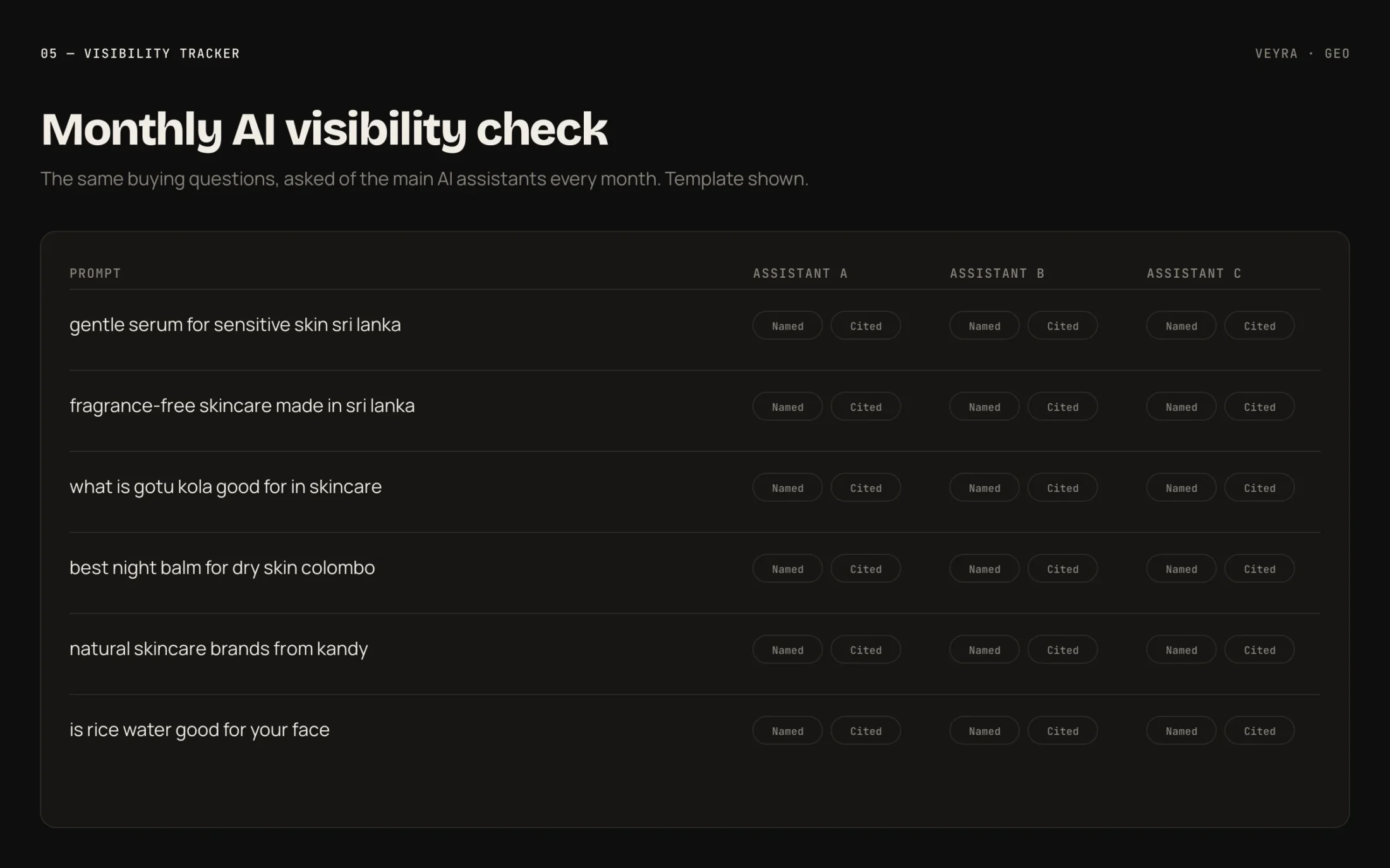Veyra Generative Engine Optimisation — Monthly AI visibility check (template)