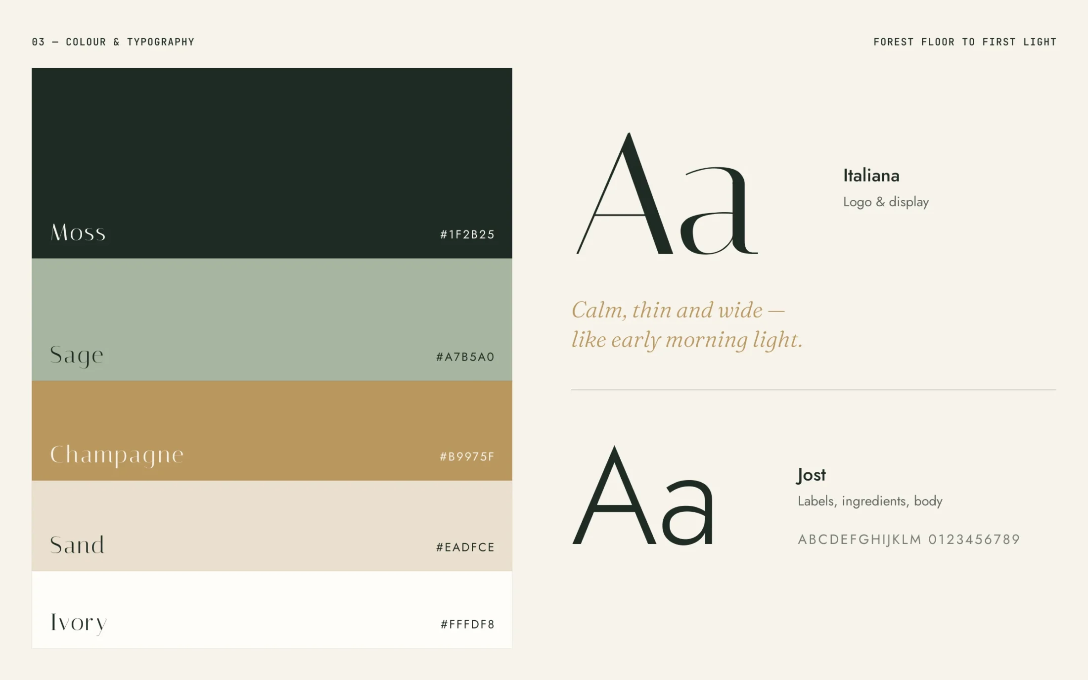 Veyra — Colour palette and typography